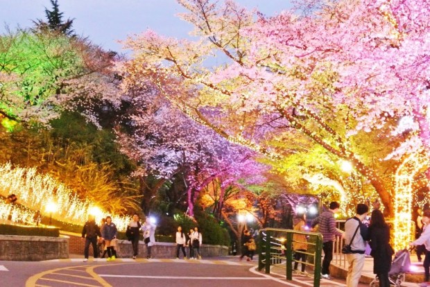 Namsan Park